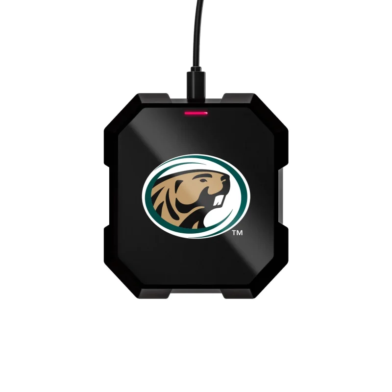 bemidji state university wireless charger pad