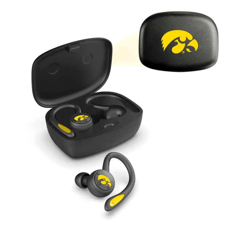 south florida bulls true wireless earbuds 2